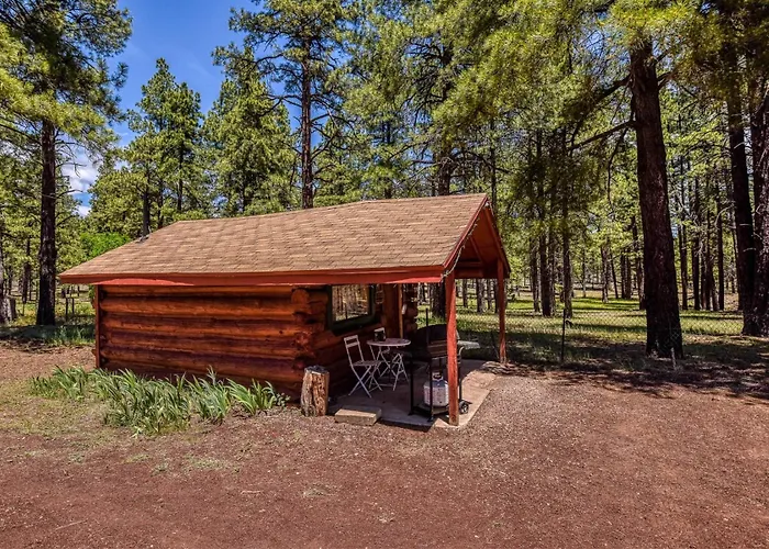 Rogers Historic Log In The Woods Near Grand Canyon Flagstaff * Parks