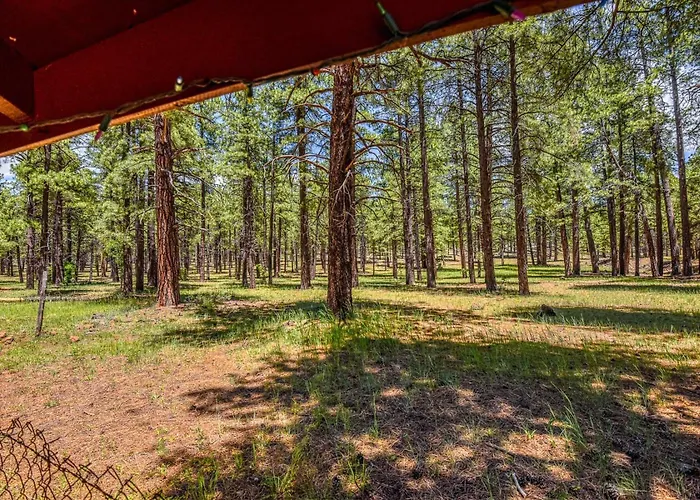 Holiday home Rogers Historic Log In The Woods Near Grand Canyon Flagstaff *