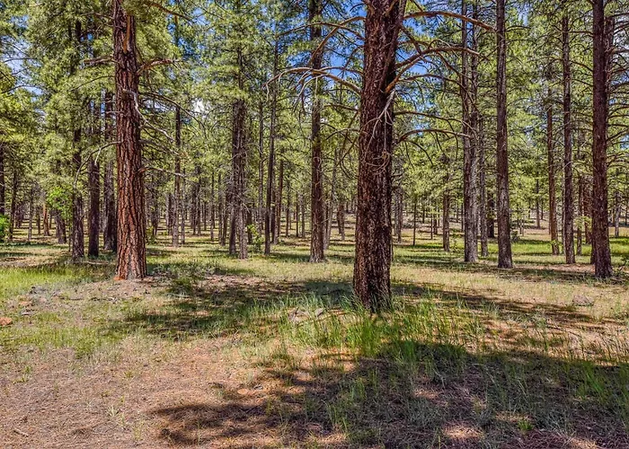 Rogers Historic Log In The Woods Near Grand Canyon Flagstaff Holiday home